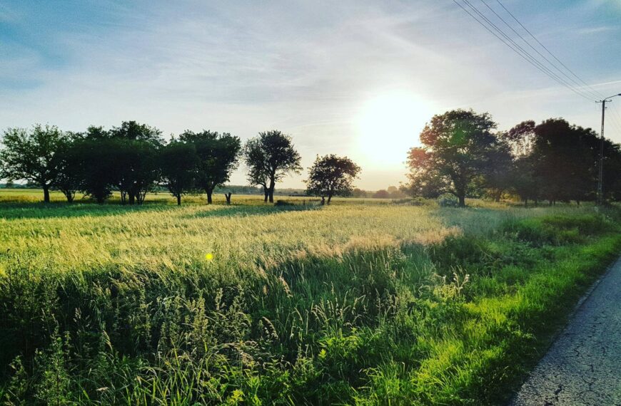 Likwidacja spółki z ograniczoną odpowiedzialnością – krok po kroku